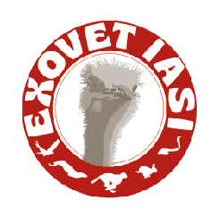 Exovet Iasi