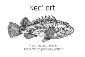 httpsinstagramned_