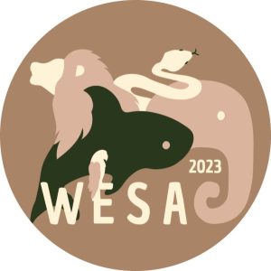 wesa